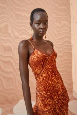 ULLA JOHNSON Elodie Dress - Sienna -Olivia Fashion Shop ULLA JOHNSON Elodie Dress SIENNA 0112